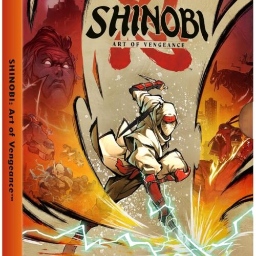 SHINOBI: Art of Vengeance PC (original outfit & amulet)